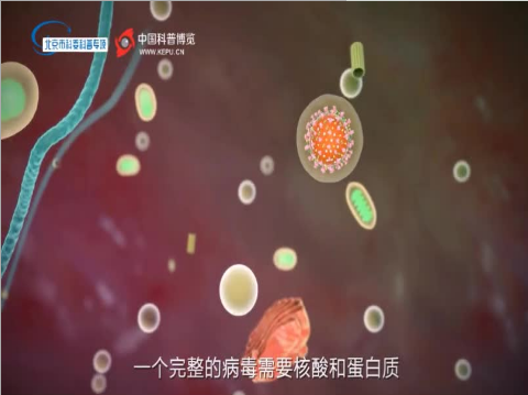 解密病毒——劫持